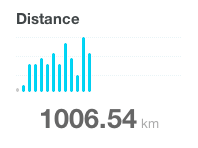 1000 km