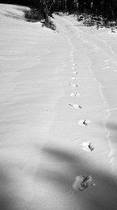 Spuren im Schnee - jugendlicher Leichtsinn