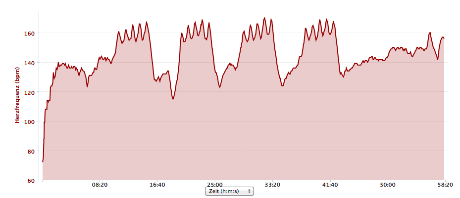 HIIT Lauftraining Protokoll