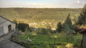 Schwarzwald, Trailrunning, Berg, Bad Wildbad