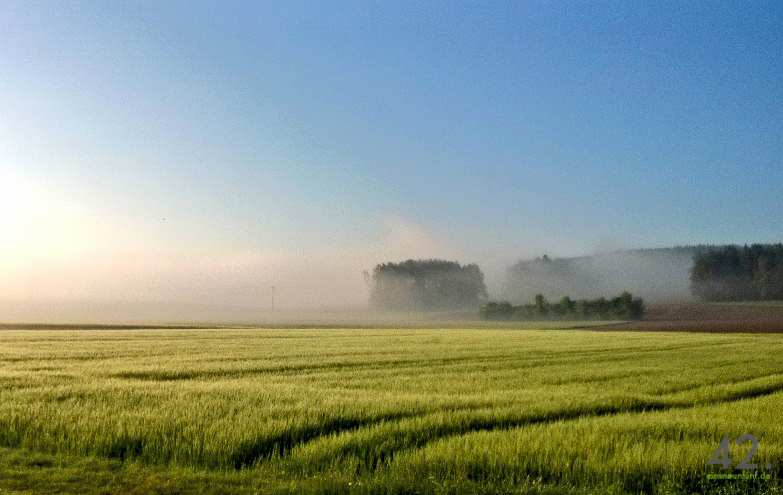 Feld, Wald, Nebel, Himmel, Destuben