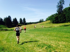 Altmühltrail 2014, Trail, Treuchtlingen, Altmühltal