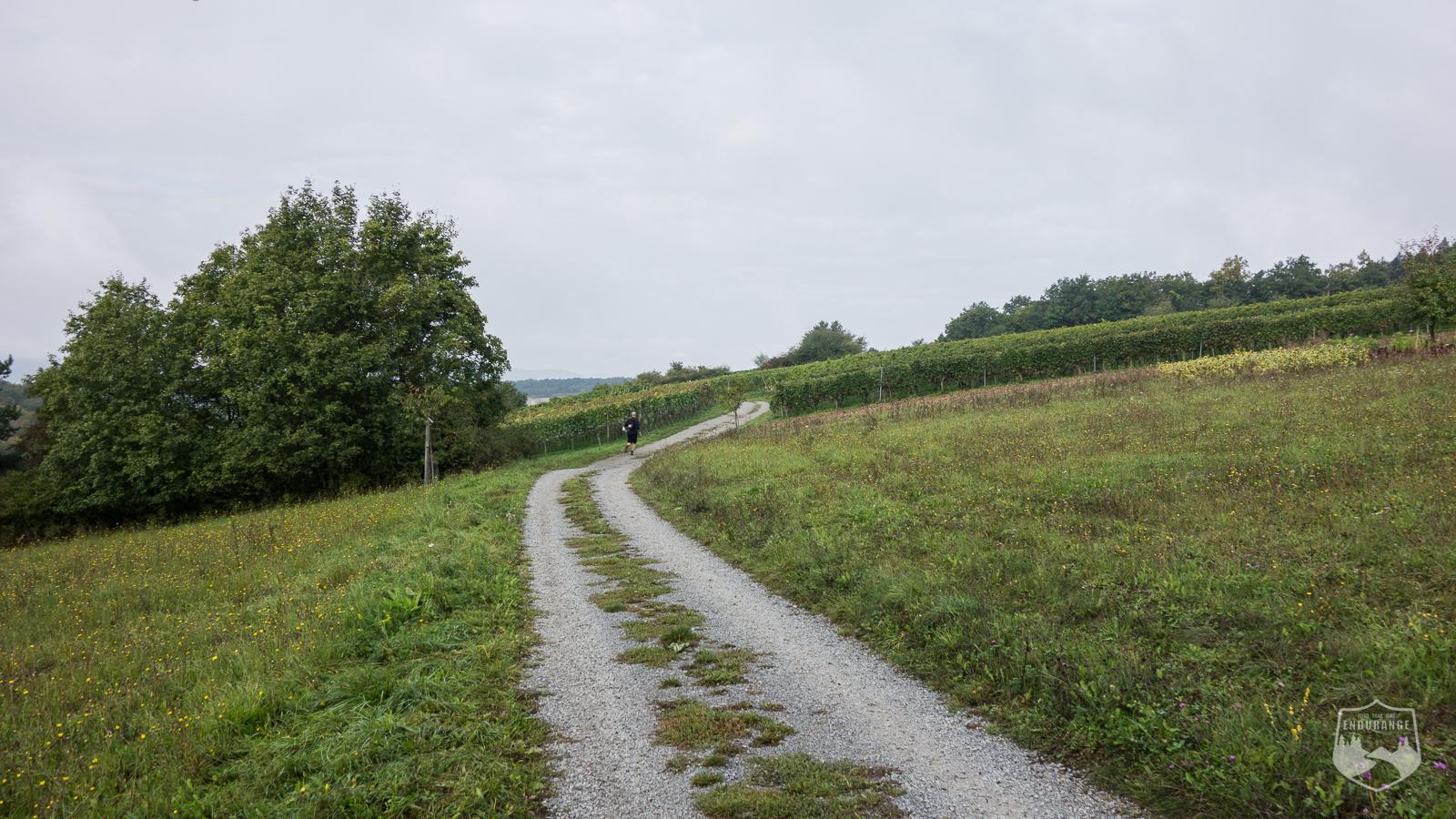 Maintal-Trail, Weinberg