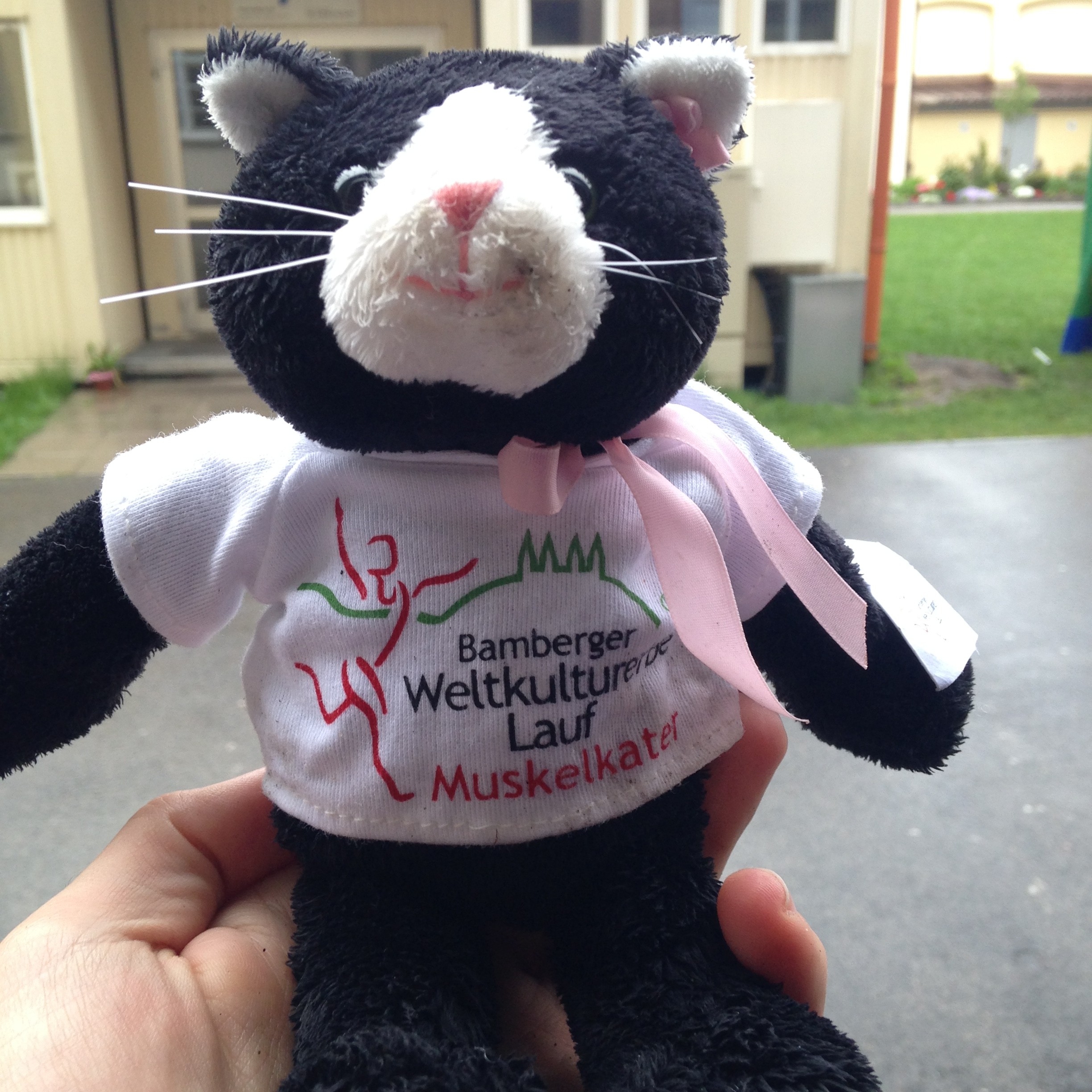 Muskelkater, WKEL, Weltkulturerbelauf, Bamberg