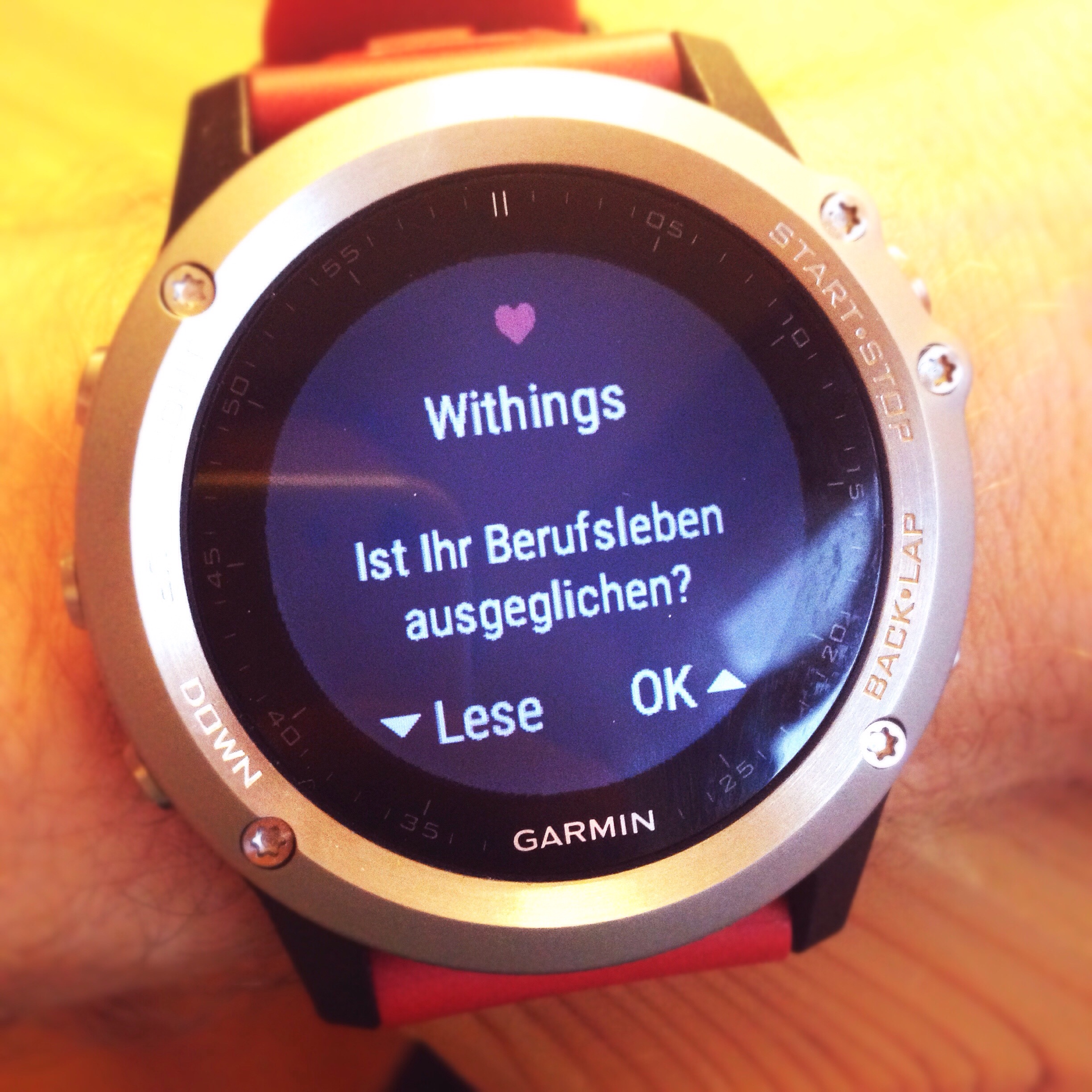 Garmin Fenix 3, Smartwatch, GPS, Laufuhr, Review, Test