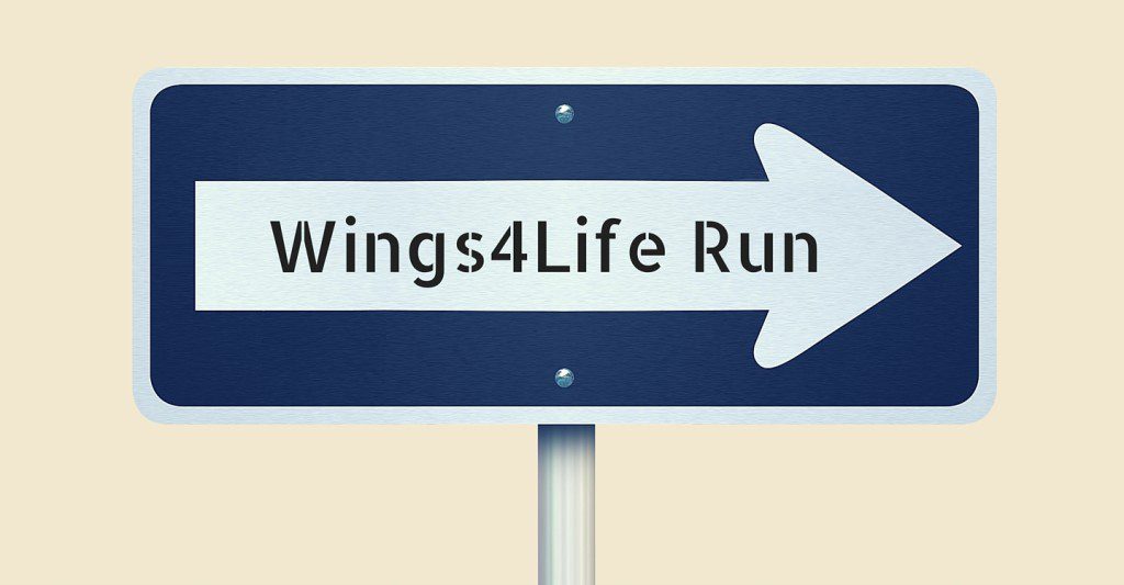 Wings4Life World Run, Laufen, Wettkampf, München