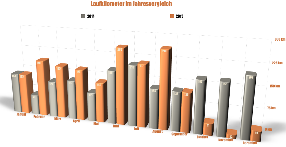 Laufkilometer2015