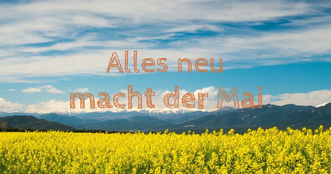 alles neu macht der Mai